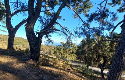 Bodrum Mazı deniz manzaralı, icerisinde kayıtlı ev bulunan satılık tarla
