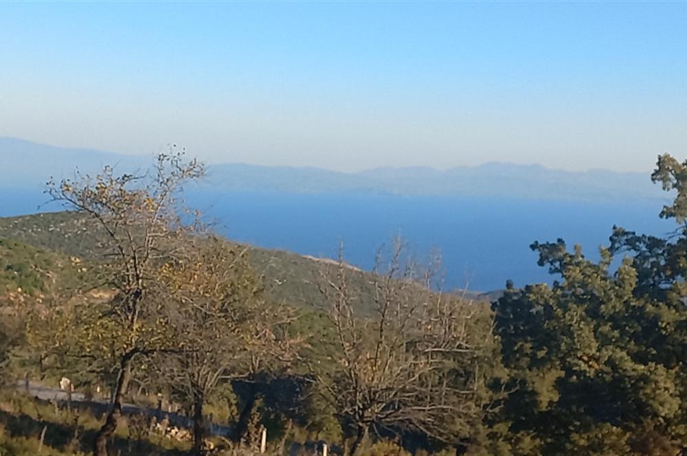 Bodrum Mazı deniz manzaralı, icerisinde kayıtlı ev bulunan satılık tarla