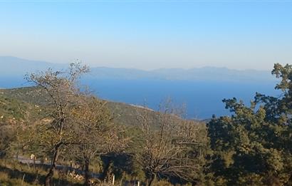 Bodrum Mazı deniz manzaralı, icerisinde kayıtlı ev bulunan satılık tarla