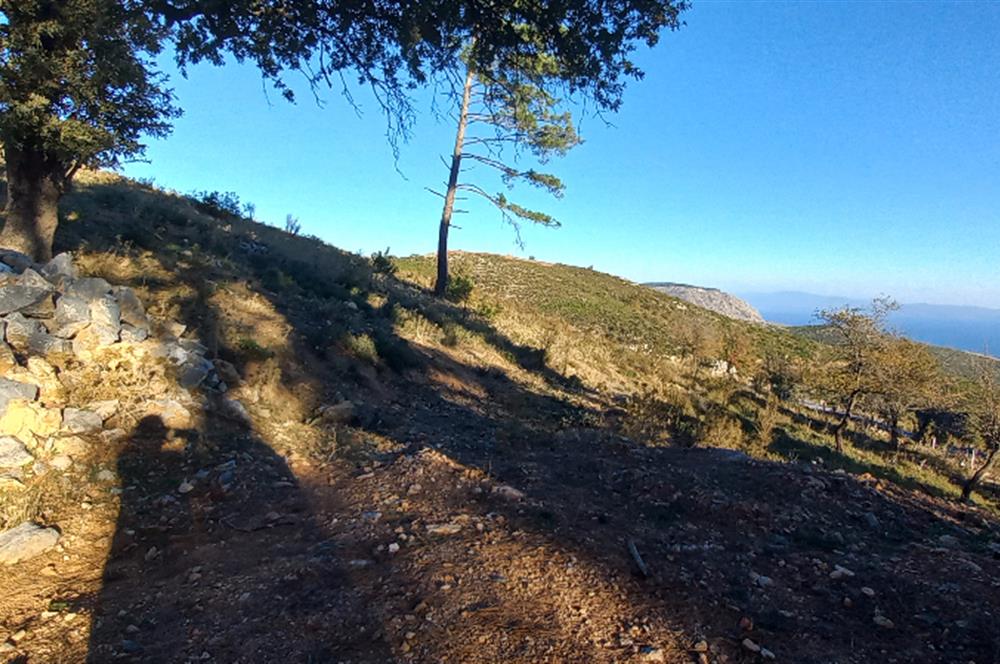 Bodrum Mazı deniz manzaralı, icerisinde kayıtlı ev bulunan satılık tarla