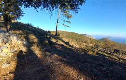 Bodrum Mazı deniz manzaralı, icerisinde kayıtlı ev bulunan satılık tarla