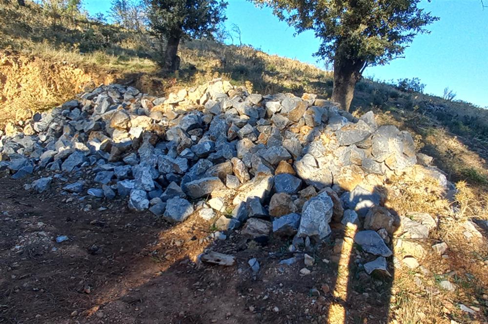 Bodrum Mazı deniz manzaralı, icerisinde kayıtlı ev bulunan satılık tarla