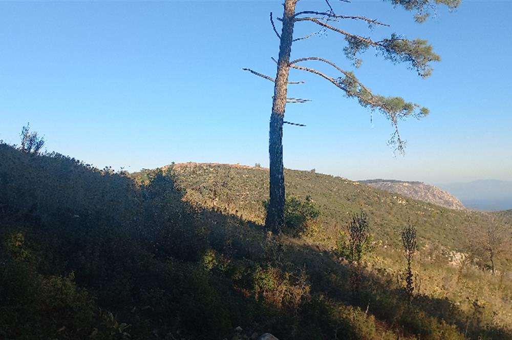Bodrum Mazı deniz manzaralı, icerisinde kayıtlı ev bulunan satılık tarla