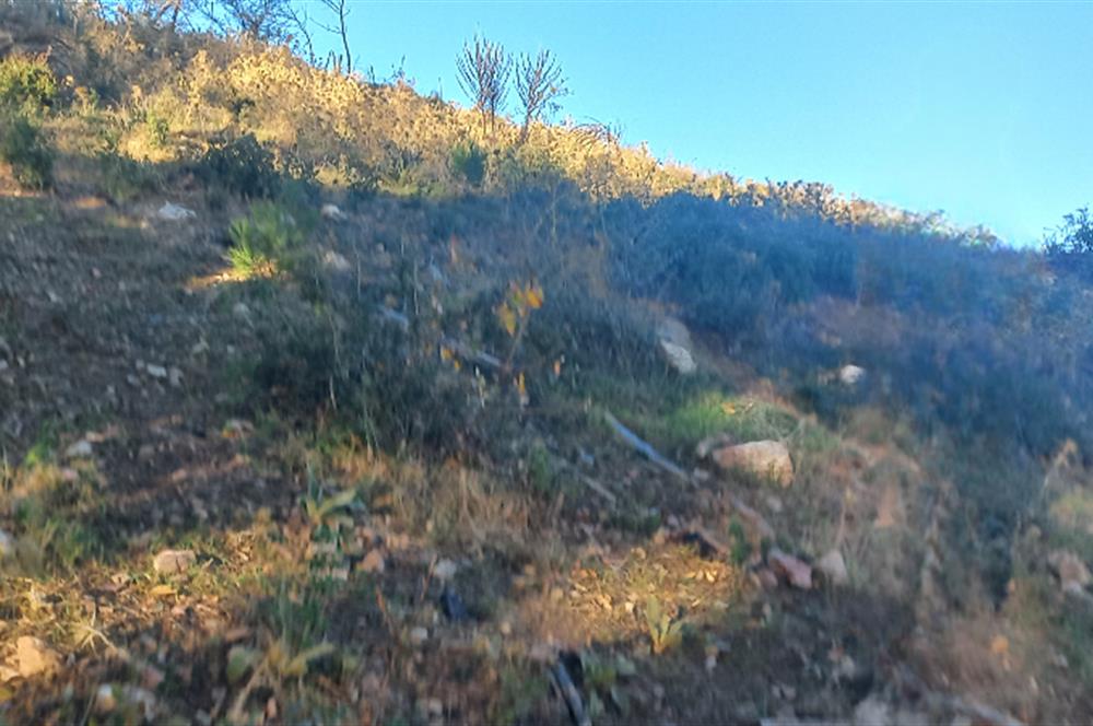 Bodrum Mazı deniz manzaralı, icerisinde kayıtlı ev bulunan satılık tarla