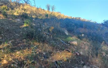 Bodrum Mazı deniz manzaralı, icerisinde kayıtlı ev bulunan satılık tarla