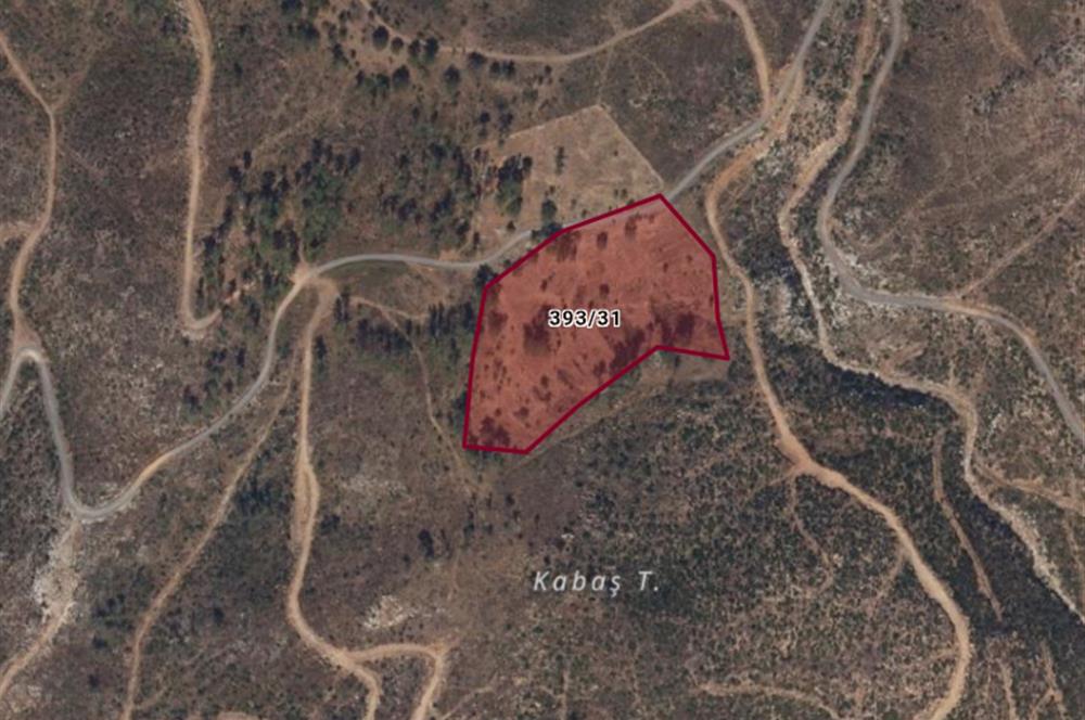 Bodrum Mazı lebiderya deniz manzaralı 17.423 m2 satılık tarla