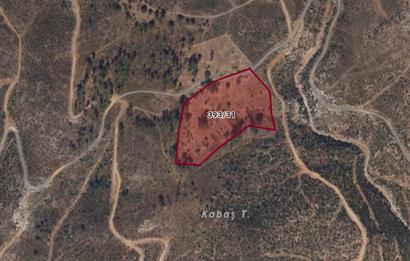 Bodrum Mazı lebiderya deniz manzaralı 17.423 m2 satılık tarla