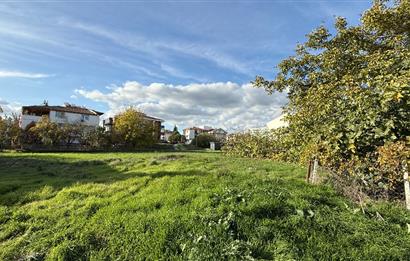 CENTURY 21 BAL DAN ÇAYIRHİSAR MAH.DE SATILIK 320 M2 ARSA