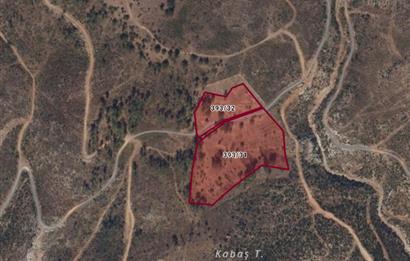 Bodrum Mazı lebiderya deniz manzaralı 17.423 m2 satılık tarla