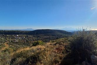 Bodrum Mazı, köye 135 m.mesafede satılık tarla - 10 - 29924