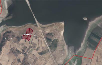 C21 BAL'DAN ALTIEYLÜL SELİMİYE MAH.// 11.127M2 BADEMLİK TARLA