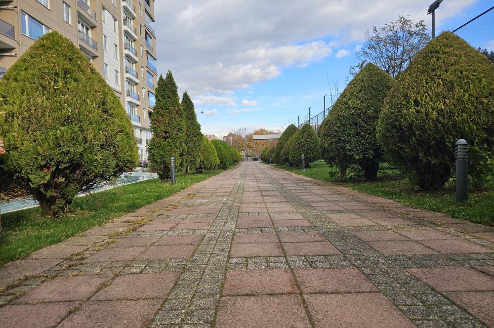 AYVACI PARK SİTESİ KAPALI MUTFAKLI EBEVEYN BANYOLU GENİŞ 2+1