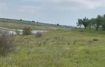 C21 BAL'DAN ALTIEYLÜL SELİMİYE MAH.// 11.127M2 BADEMLİK TARLA