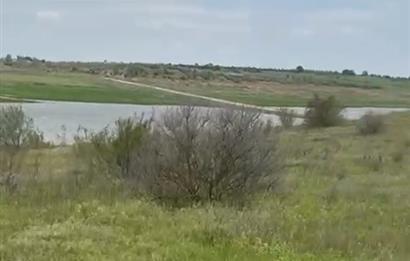 C21 BAL'DAN ALTIEYLÜL SELİMİYE MAH.// 11.127M2 BADEMLİK TARLA