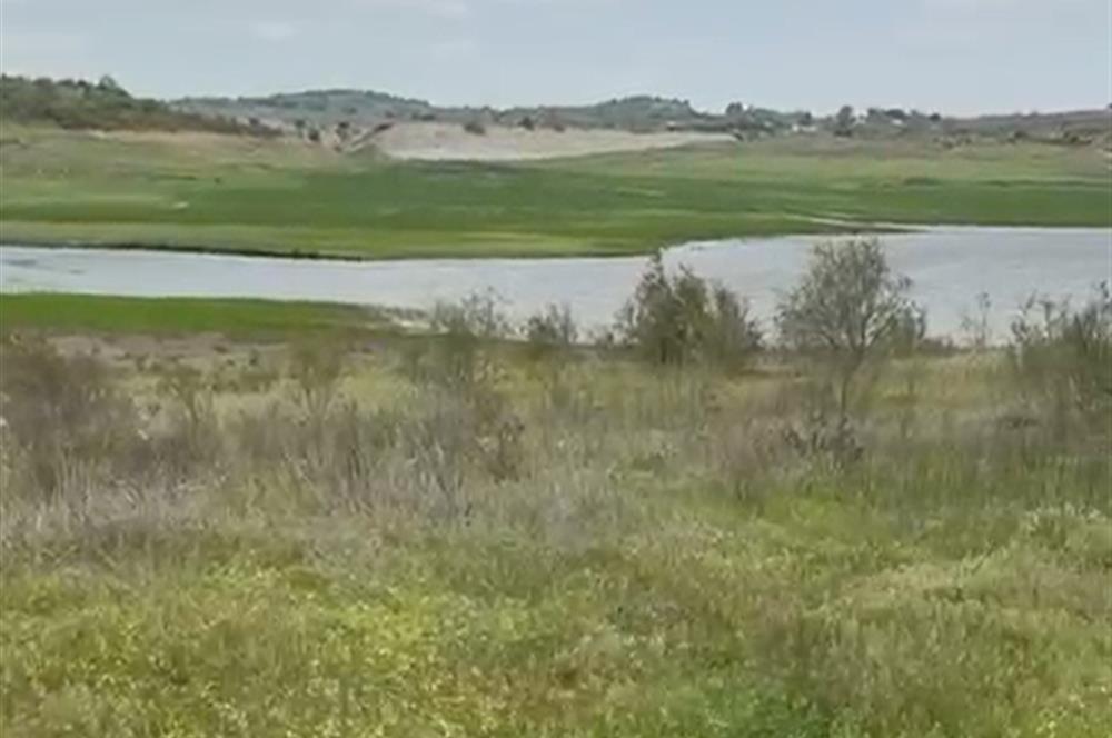 C21 BAL'DAN ALTIEYLÜL SELİMİYE MAH.// 11.127M2 BADEMLİK TARLA