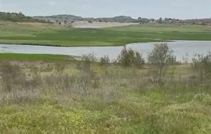 C21 BAL'DAN ALTIEYLÜL SELİMİYE MAH.// 11.127M2 BADEMLİK TARLA