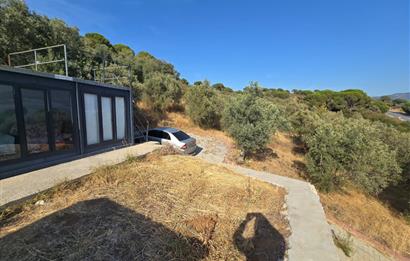 C21;Cius Deniz manzaralı Konteyner'li Yola Cephe Satılık Tarla