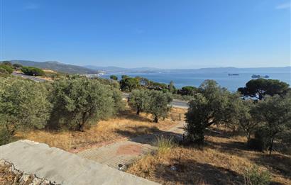 C21;Cius Deniz manzaralı Konteyner'li Yola Cephe Satılık Tarla