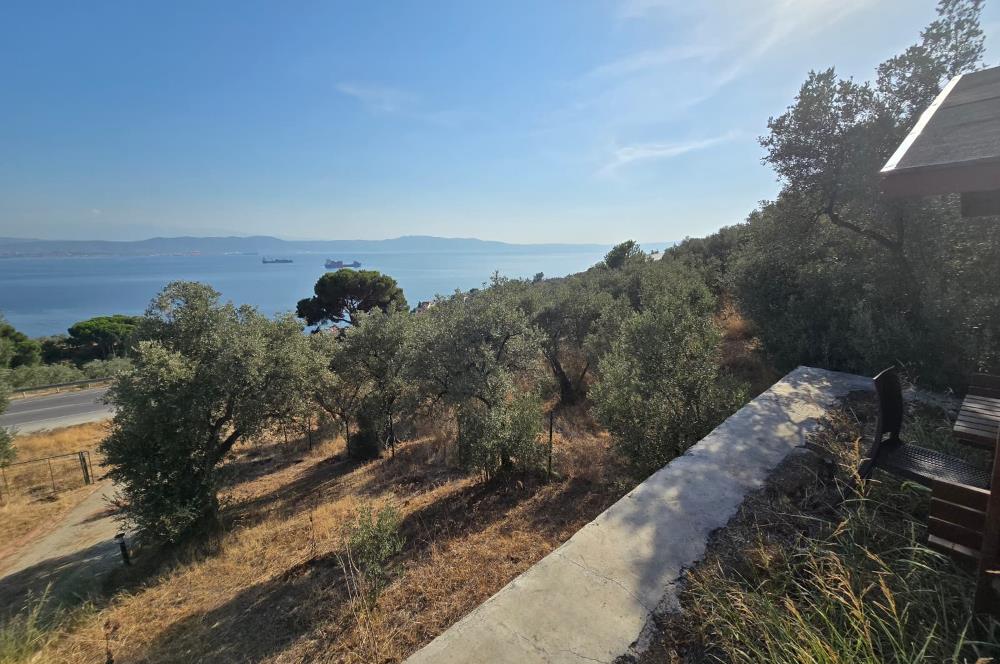 C21;Cius Deniz manzaralı Konteyner'li Yola Cephe Satılık Tarla