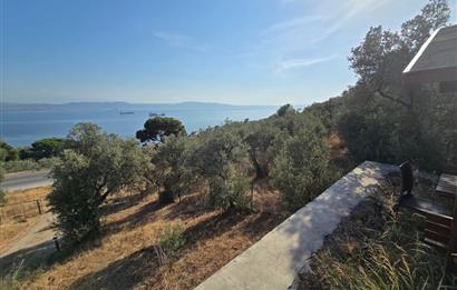 C21;Cius Deniz manzaralı Konteyner'li Yola Cephe Satılık Tarla