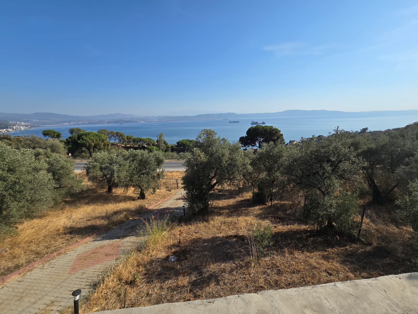 C21;Cius Deniz manzaralı Konteyner'li Yola Cephe Satılık Tarla