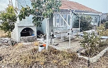 BURDUR YEŞİLOVA ÇALTEPE KÖYÜNDE 30500 m2 SATILIK VERİMLİ BAHÇE