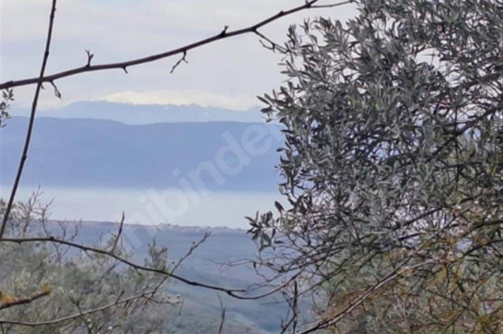 SATILIK BAĞ BAHÇE İZNİK GÖL VE BARAJ MANZARALI