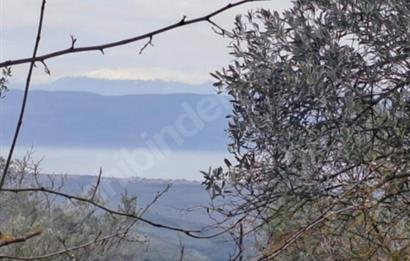 SATILIK BAĞ BAHÇE İZNİK GÖL VE BARAJ MANZARALI