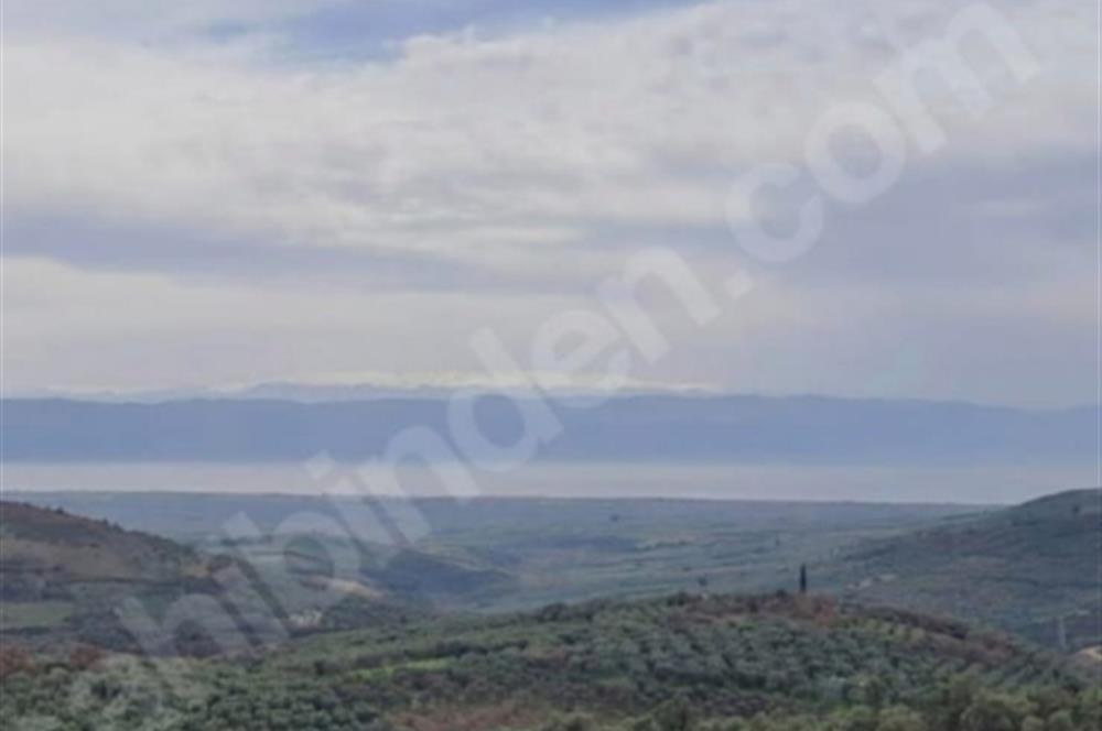 SATILIK BAĞ BAHÇE İZNİK GÖL VE BARAJ MANZARALI