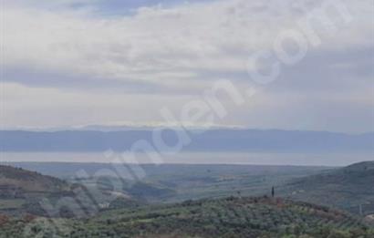 SATILIK BAĞ BAHÇE İZNİK GÖL VE BARAJ MANZARALI