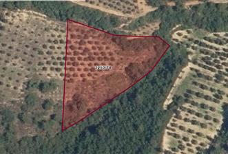 SATILIK BAĞ BAHÇE İZNİK GÖL VE BARAJ MANZARALI - 5 - 30031