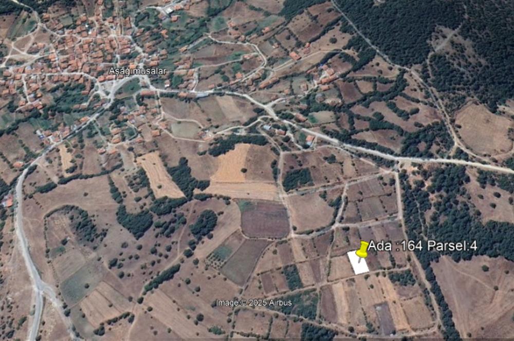 BALIKESİR-DURSUNBEYDE AŞAĞIMUSALAR' DA SATILIK ARSA