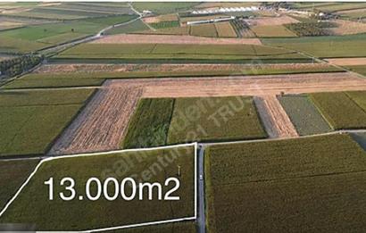 Ergilde 13.000 m² Köşe Parsel Tarım ve Yatırıma Uygun Fırsat