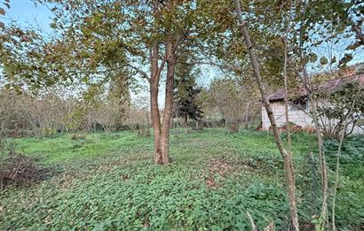 TRABZON YOMRA ÇINARLI KONAK MAHALLESİN'DE SATILIK 2487 M2 TARLA