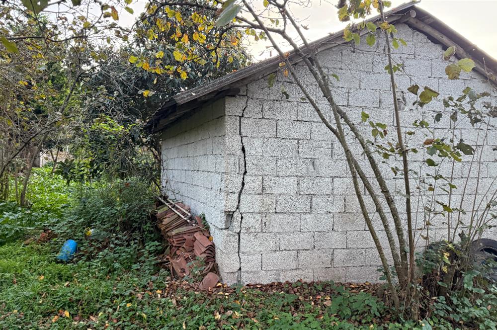 TRABZON YOMRA ÇINARLI KONAK MAHALLESİN'DE SATILIK 2487 M2 TARLA