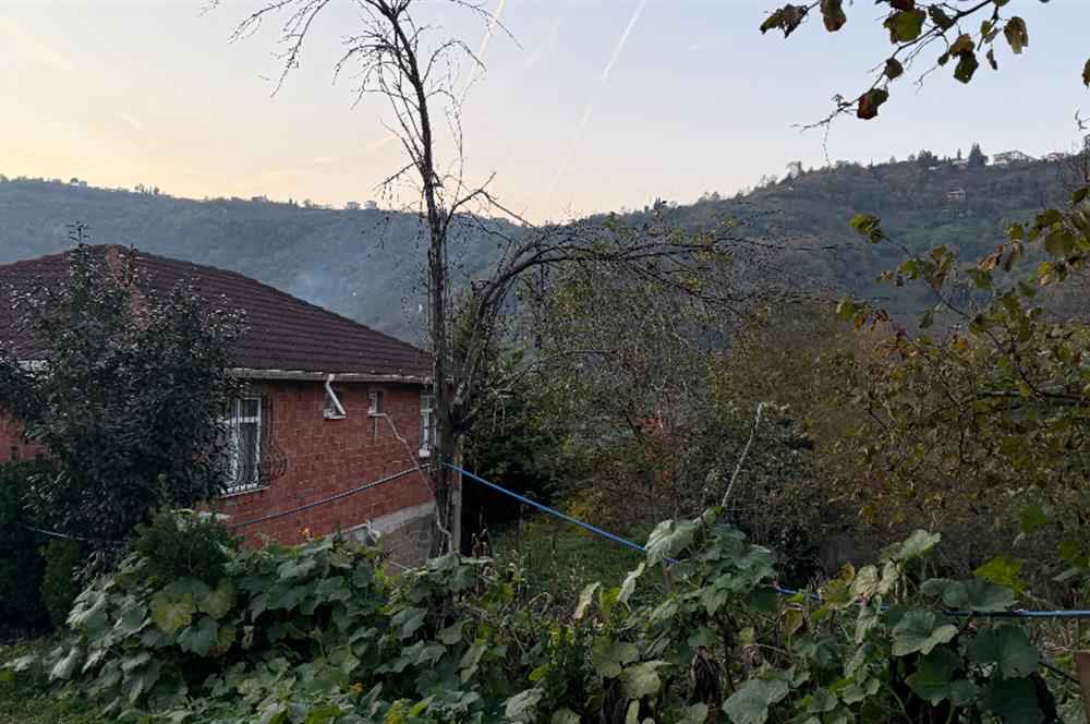 TRABZON YOMRA ÇINARLI KONAK MAHALLESİN'DE SATILIK 2487 M2 TARLA