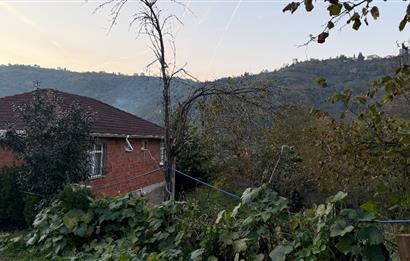 TRABZON YOMRA ÇINARLI KONAK MAHALLESİN'DE SATILIK 2487 M2 TARLA