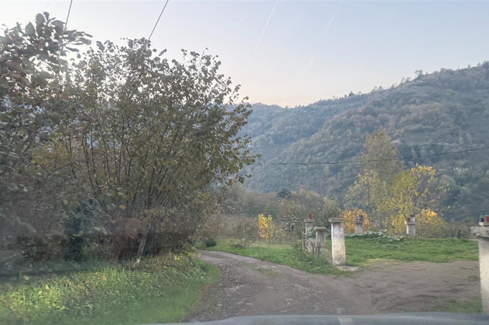 TRABZON YOMRA ÇINARLI KONAK MAHALLESİN'DE SATILIK 2487 M2 TARLA