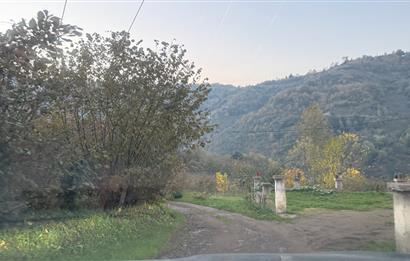 TRABZON YOMRA ÇINARLI KONAK MAHALLESİN'DE SATILIK 2487 M2 TARLA