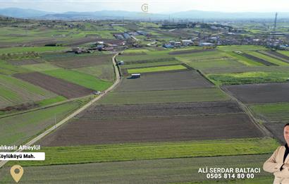 C21 Bal'dan Köylü Köyünde Satılık Tarla