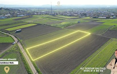 C21 Bal'dan Köylü Köyünde Satılık Tarla