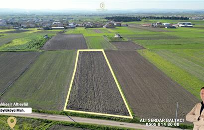 C21 Bal'dan Köylü Köyünde Satılık Tarla