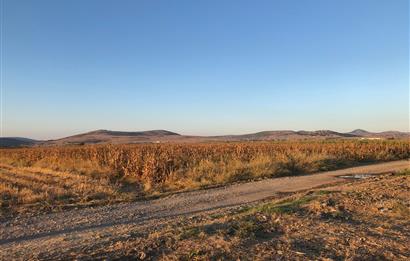 C21 LOCA'DAN GÖKÇEYAZI ORTA MAH. 6709 M2 SU KENARI SATILIK TARLA