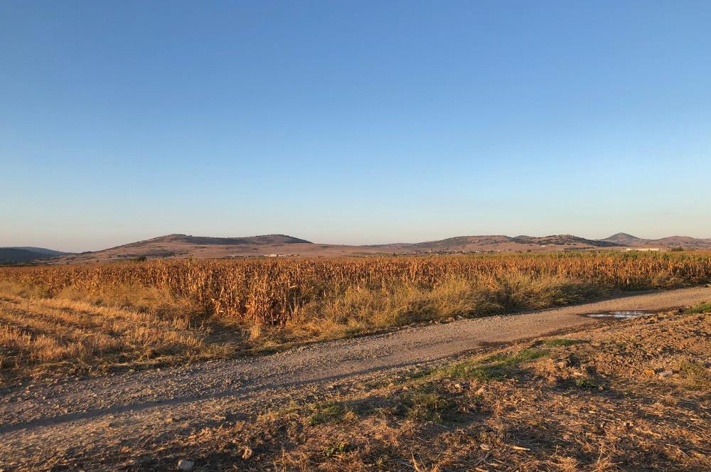 C21 LOCA'DAN GÖKÇEYAZI ORTA MAH. 6709 M2 SU KENARI SATILIK TARLA