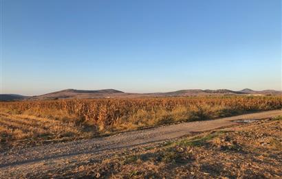 C21 LOCA'DAN GÖKÇEYAZI ORTA MAH. 6709 M2 SU KENARI SATILIK TARLA