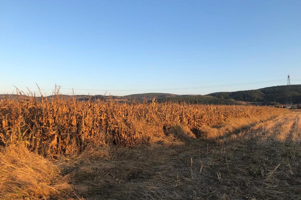 C21 LOCA'DAN GÖKÇEYAZI ORTA MAH. 6709 M2 SU KENARI SATILIK TARLA