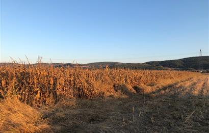 C21 LOCA'DAN GÖKÇEYAZI ORTA MAH. 6709 M2 SU KENARI SATILIK TARLA