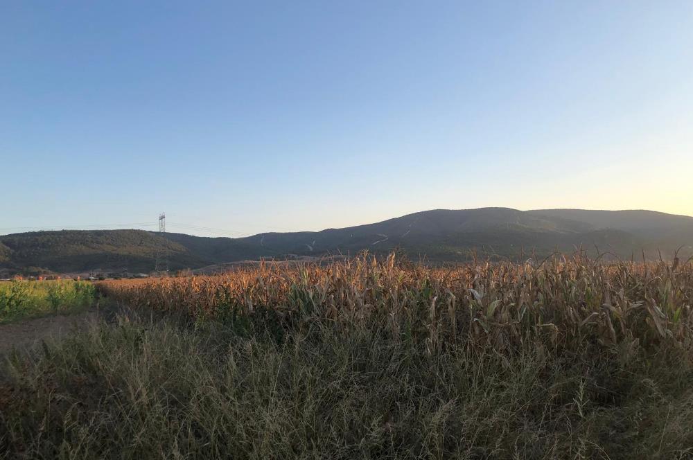 C21 LOCA'DAN GÖKÇEYAZI ORTA MAH. 6709 M2 SU KENARI SATILIK TARLA