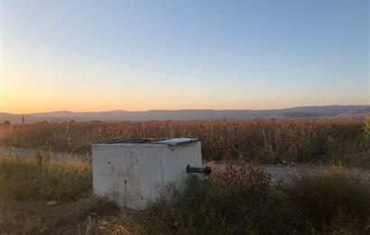 C21 LOCA'DAN GÖKÇEYAZI ORTA MAH. 6709 M2 SU KENARI SATILIK TARLA