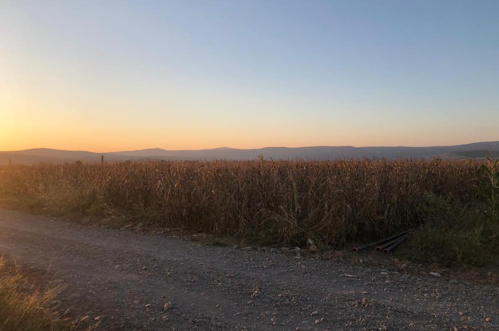 C21 LOCA'DAN GÖKÇEYAZI ORTA MAH. 6709 M2 SU KENARI SATILIK TARLA